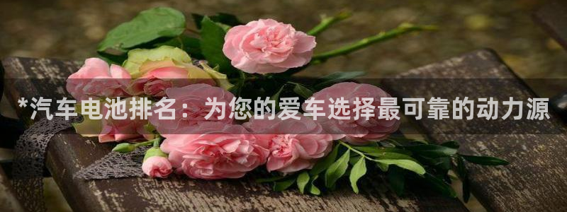 优发国际网官网17w80是什么