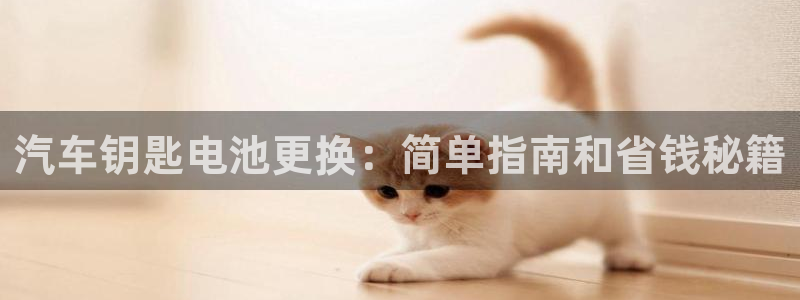 优发国际安卓版下载安装