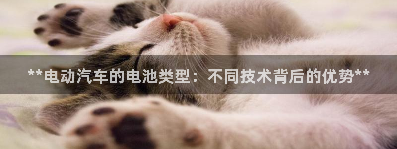 优发国际网官网址是多少
