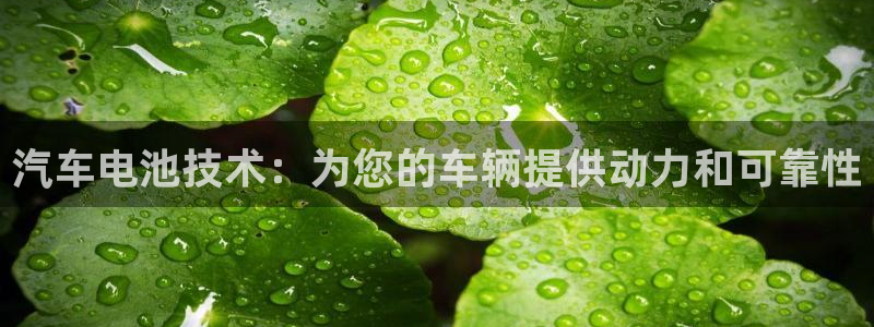 优发国际平台u8怎么样