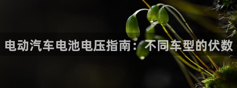 优发国际官网手机版下载安装
