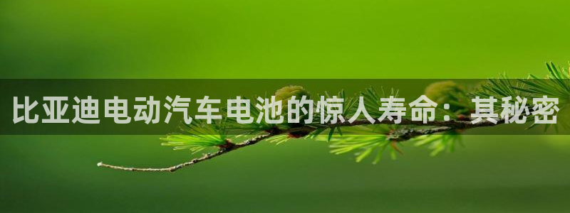 优发国际网官网17w80是什么