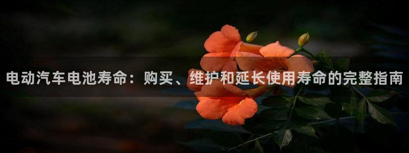 优发国际首页首页y6