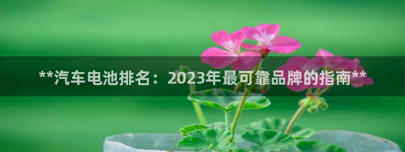 优发娱乐官网地址