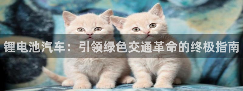 优发国际不出款