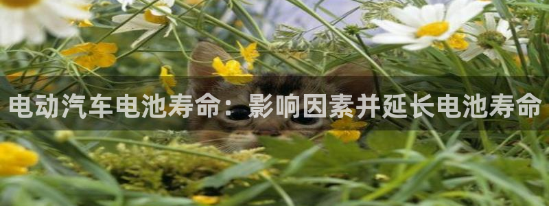 优发国际手机版下载安装