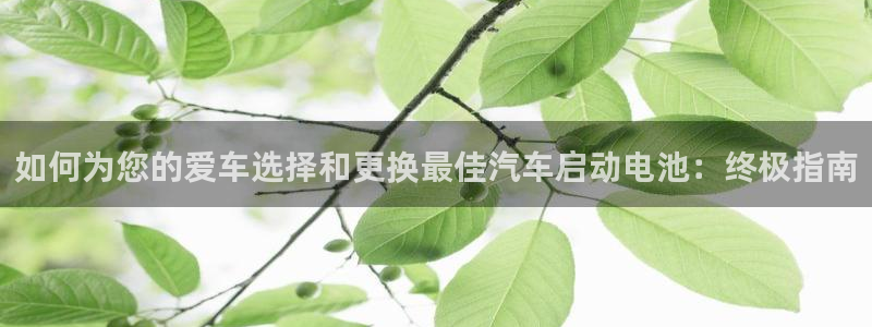 优发国际平台app下载