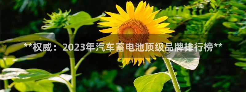 优发国际不出款