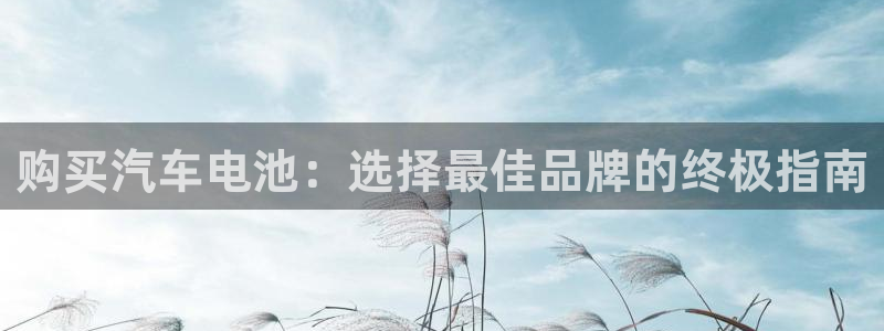 优发国际手机版唯一官网