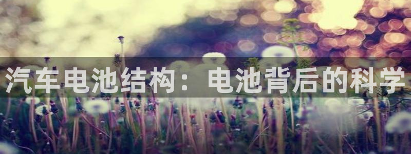 优发国际手机版网站