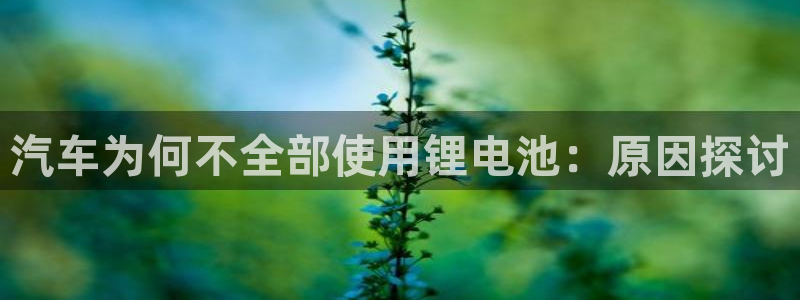 优发国际是大平台吗