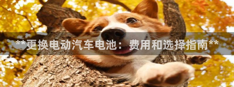 优发国际手机版客户端下载安装