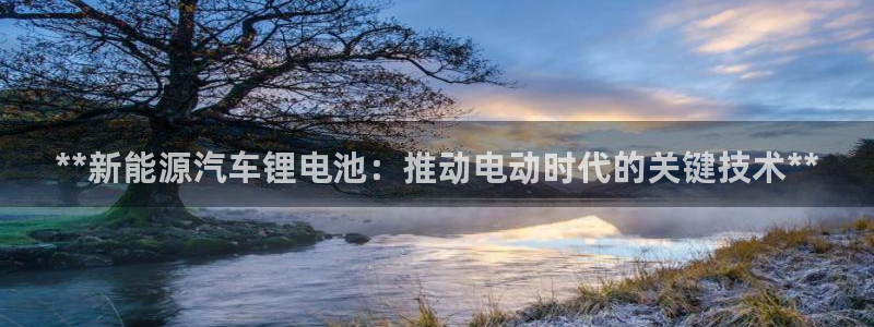 优发国际安卓版下载安装