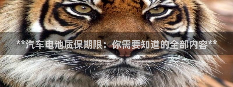 优发国际登录k8