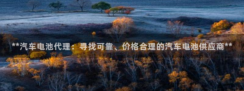 优发国际是什么