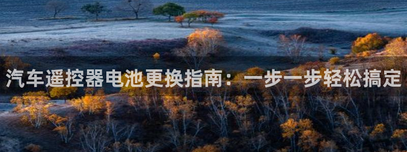 优发国际怎么样