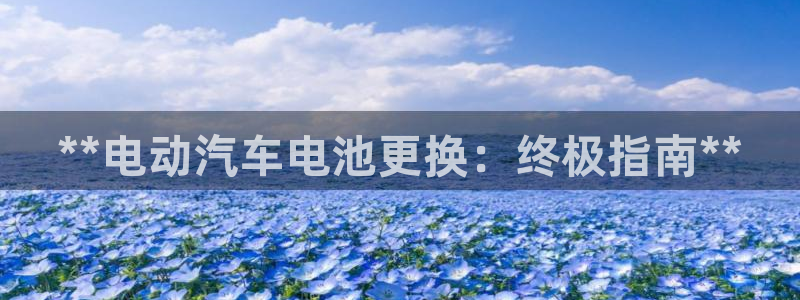 优发国际娱乐官网多少?