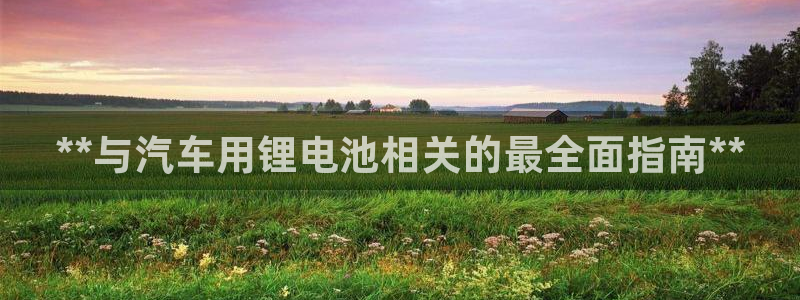 优发国际不出款怎么办