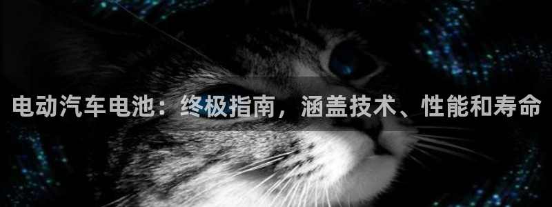 优发国际平台18岁能做吗