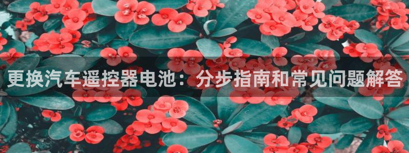 优发国际平台u8是什么软件