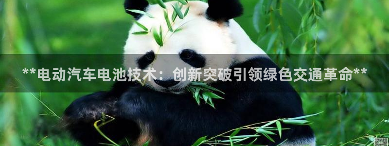 优发国际登录app