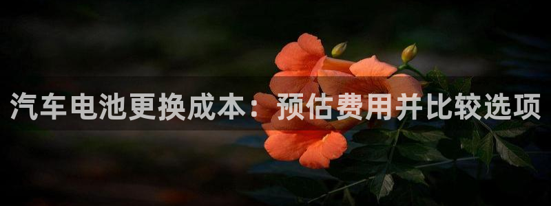 优发国际游戏官方网站