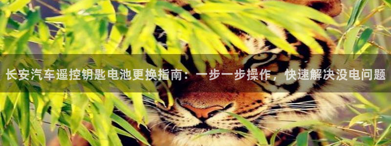 优发国际是合法的吗