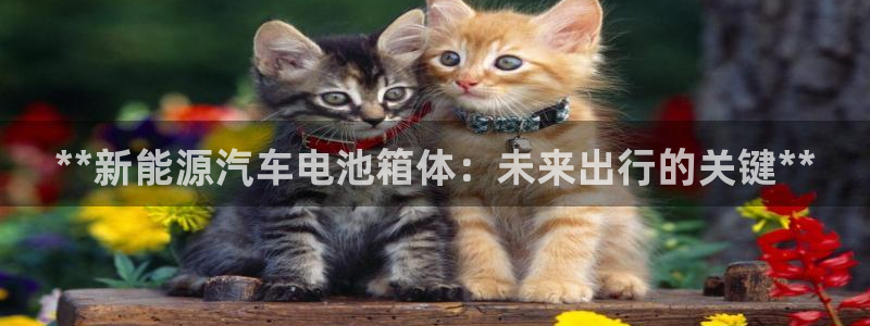 优发国际注册平台是什么