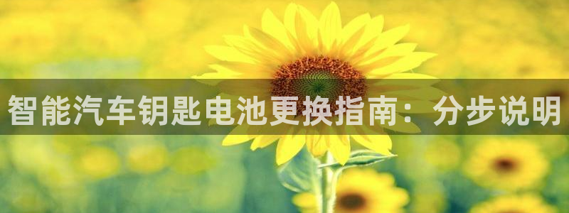 优发国际是大平台吗知乎