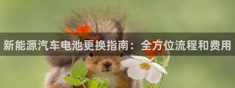 优发国际客服联系方式查询