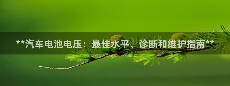 优发国际官方下载app