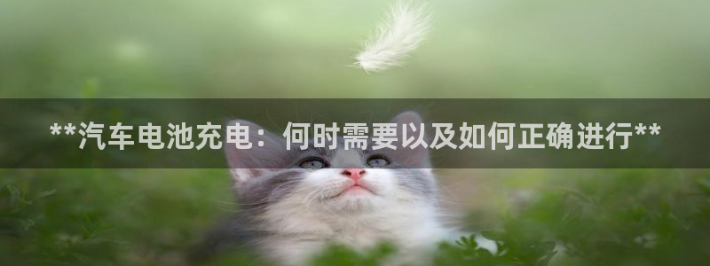 优发国际官网手机版入口
