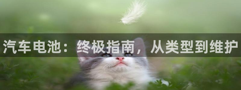 优发国际youfa