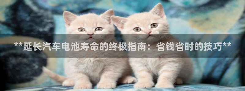 优发国际的官网是