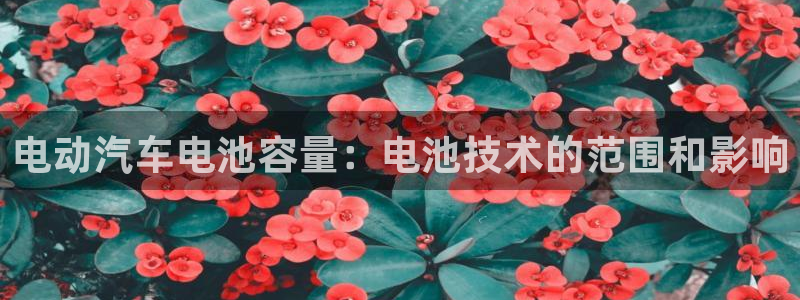 优发国际手机版官网入口