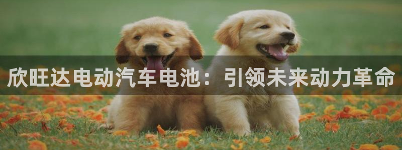 优发国际官网网站首页