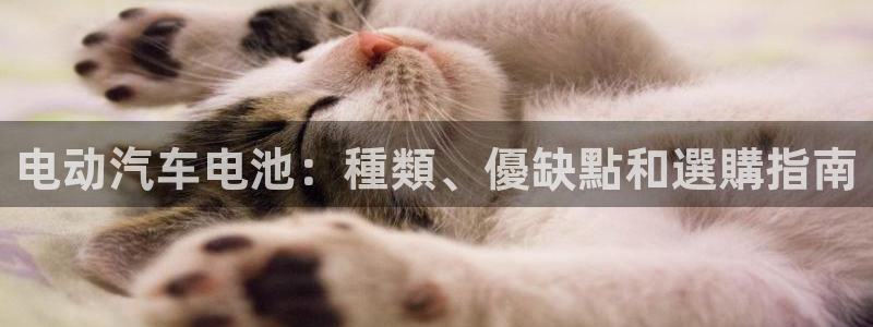 优发国际官网,首页网址