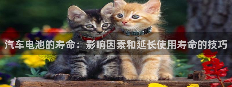 优发国际手机客户端官网