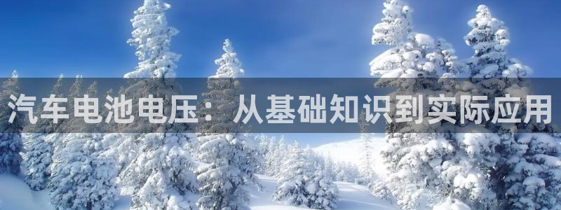 优发国际官网手机版app