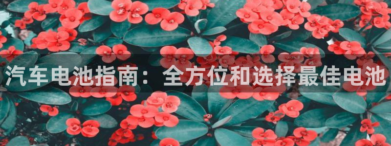 优发国际不出款了吗