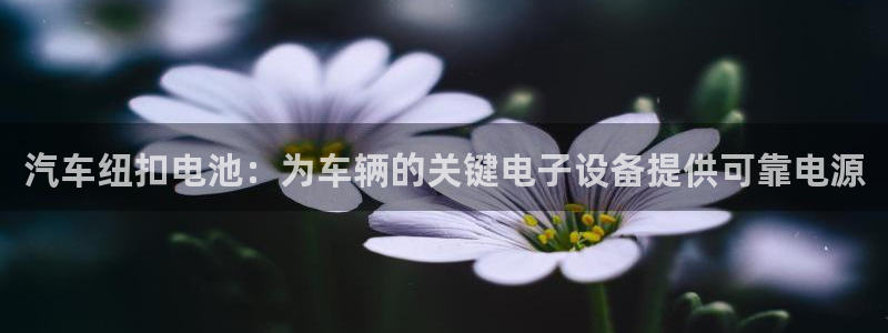 优发国际手机客户端下载