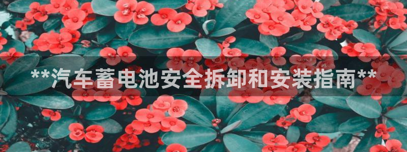 优发国际多少