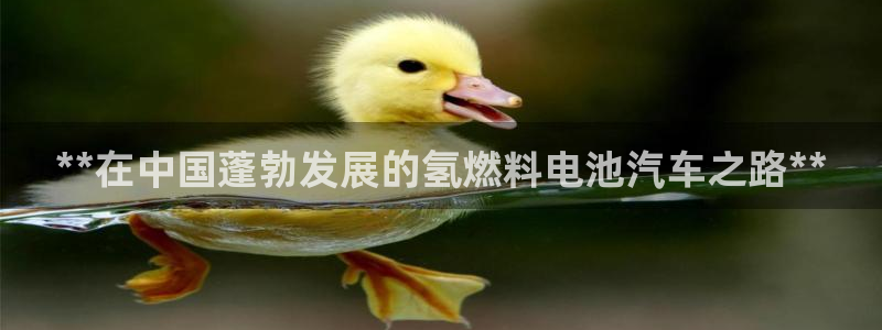 优发国际官网,首页