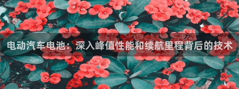 优发国际合并到哪里了最新消息
