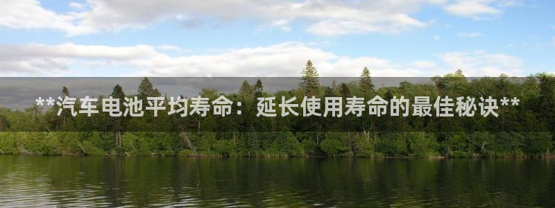优发国际youfa