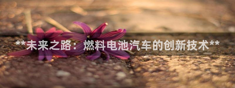优发国际是大平台吗知乎