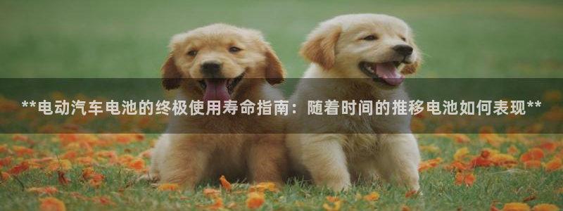 优发国际游戏网站