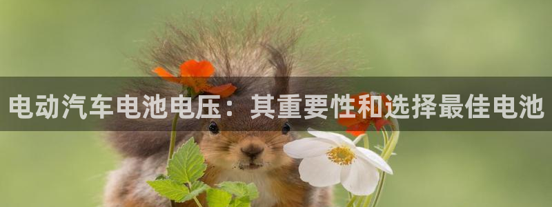 优发国际官网手机版下载苹果