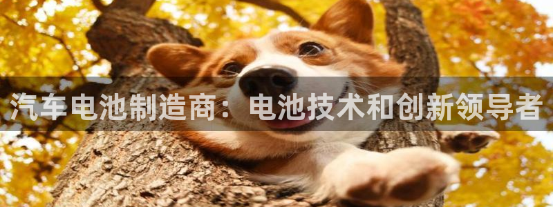 优发国际官网官方网址