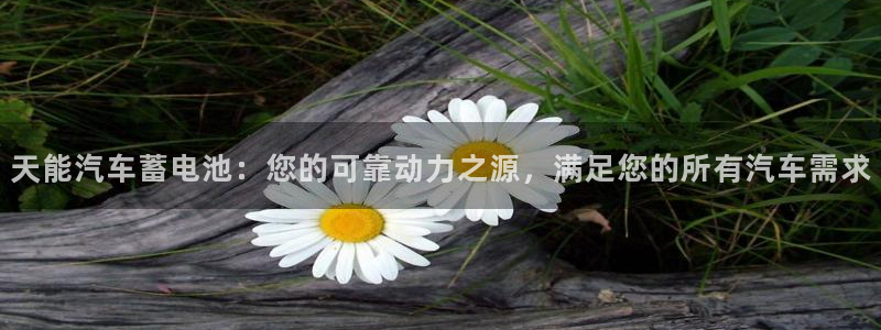 优发国际是大平台吗